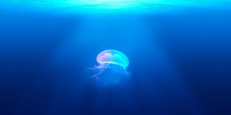 互联网评测体验：5G随身WiFi实测